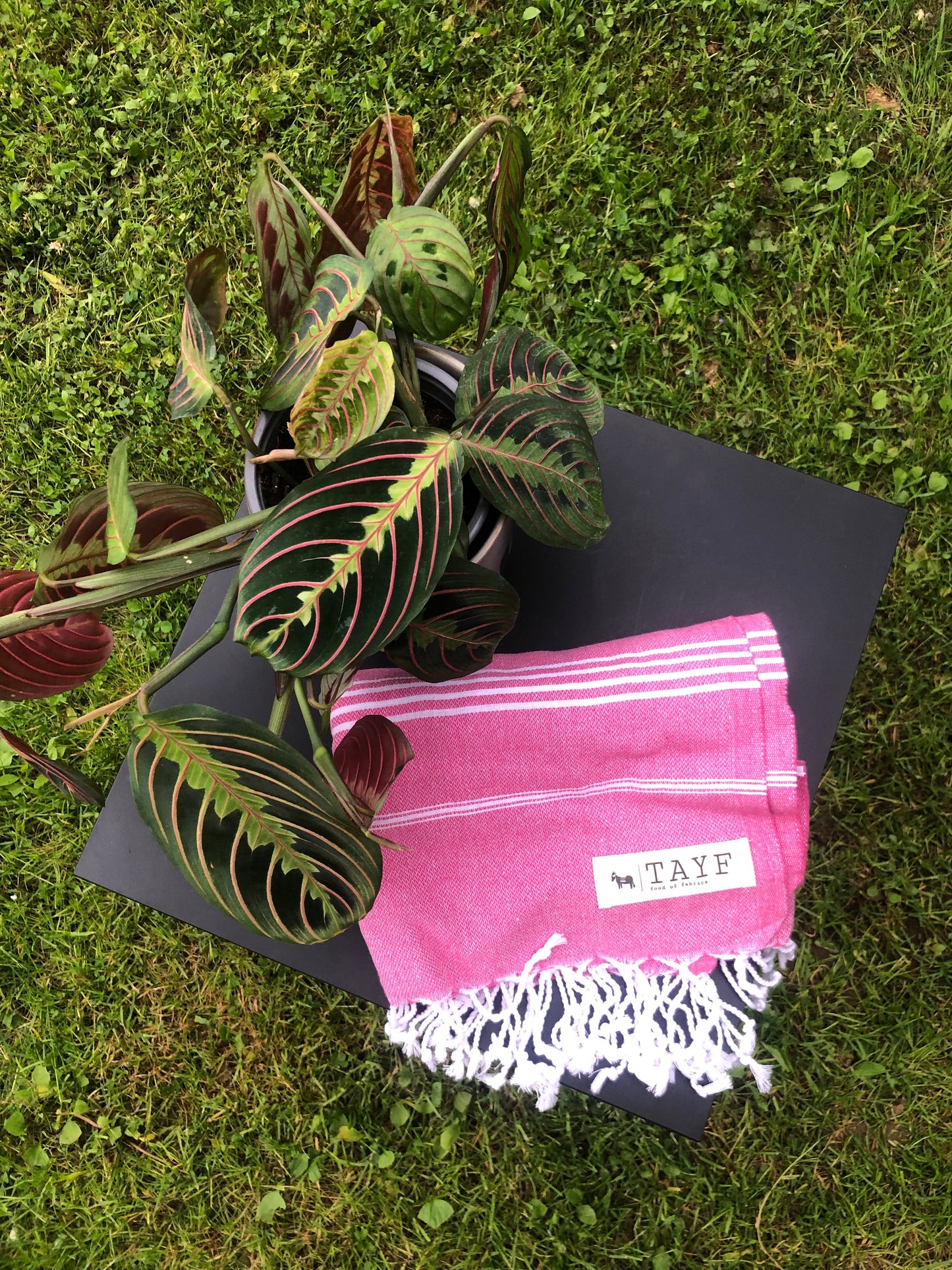 Extra-thin hammam towel "Kas"